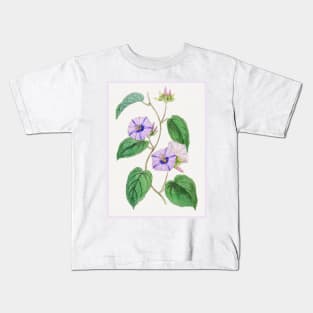 Hoary Jacquemontia Flower Branch Kids T-Shirt